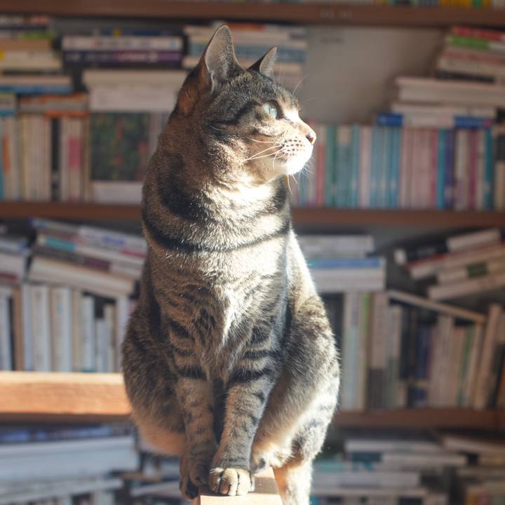 618b5ffc d77d 4fb2 858c a30e69093624 1742599091858