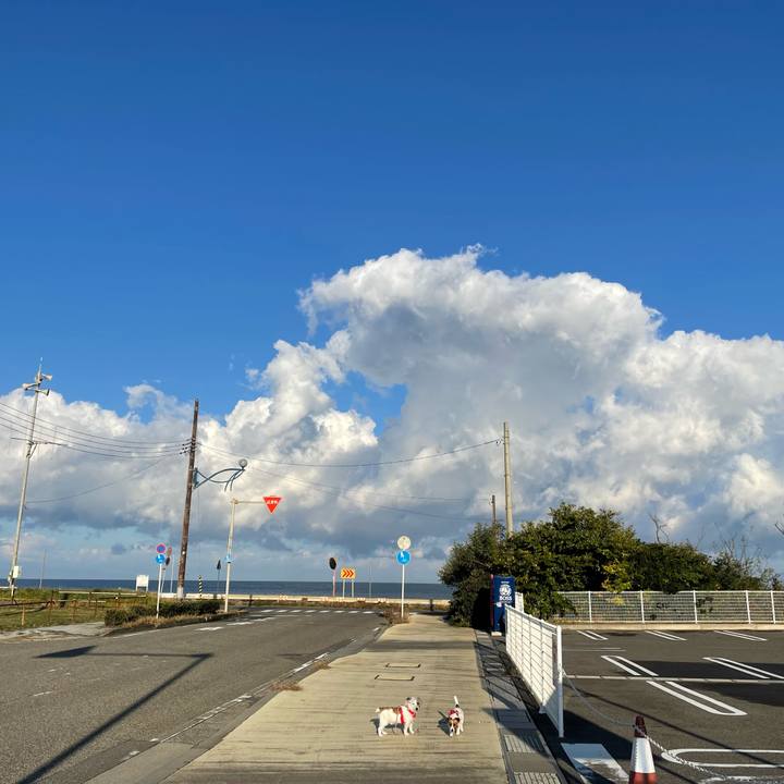 618b991c eb5b 4c3b 8b4e 89844922a51a 1667433607352