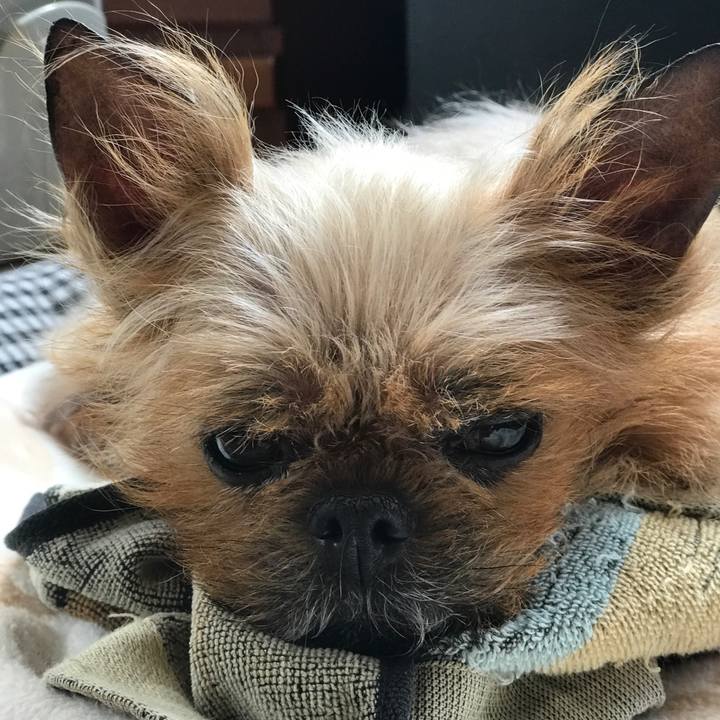 618bacba 839f 4fcd 9a3a 726f1255a5c6 1555984682053