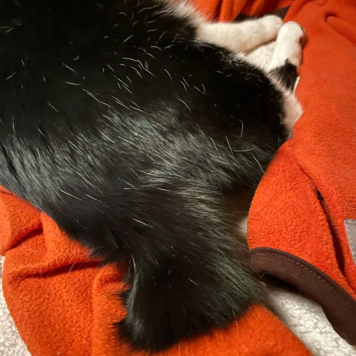 618be9cc 3fb9 42d9 aae6 91621957eb6e 1643707830454