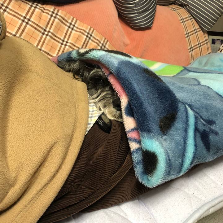 618bec21 5023 4488 96b4 54f26e9b812d 1682084042216