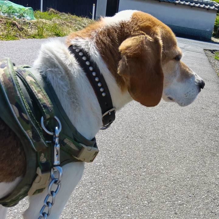 618bf769 0bad 4470 b21d 693d20fa9a3d 1715846791589