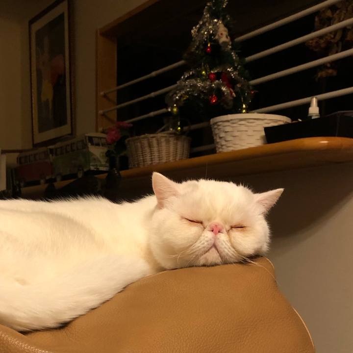 618c0994 fc36 458e a96a f153e54f7e3a 1607077941395