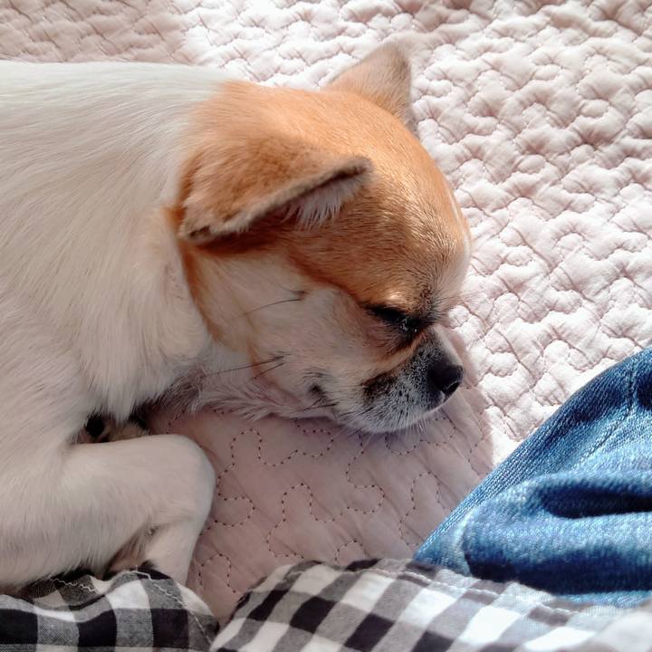 618c3487 aa7d 4090 a450 28e76d9615cc 1635401836816