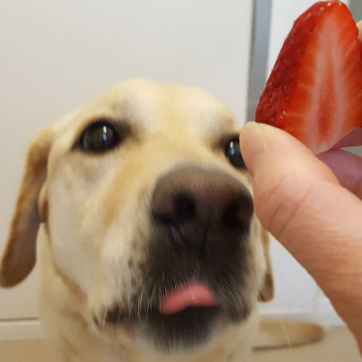 618c626f 7587 416e 880d e7e8ab9e6ca0 1527129423852