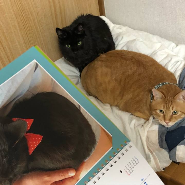 618c6419 b577 415b 9de0 5ca3de0fa7d1 1588333005502