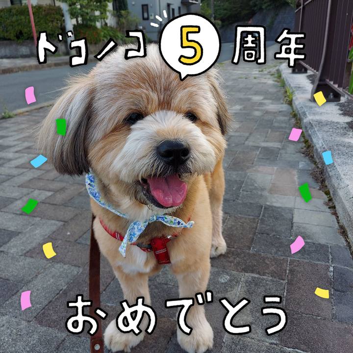 618c6797 96f8 4009 8ef7 dc2dd36b321d 1622864953290