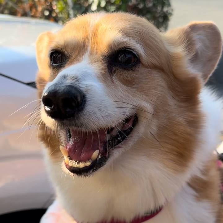 618c7df2 5cc3 4a65 b984 7236fd28889e 1737691629244