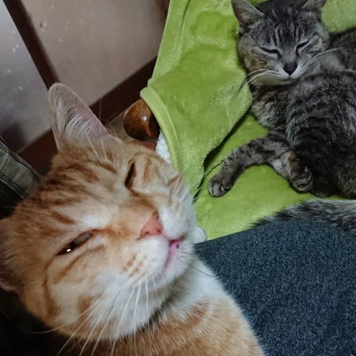 618c94e7 f981 4b6d a869 f1f81f66be4f 1588142522389