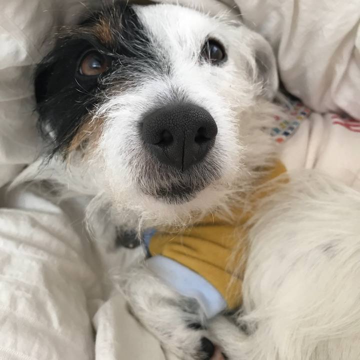 618cb089 25d2 4e83 a8f2 a70d6d2b7a90 1519946611116