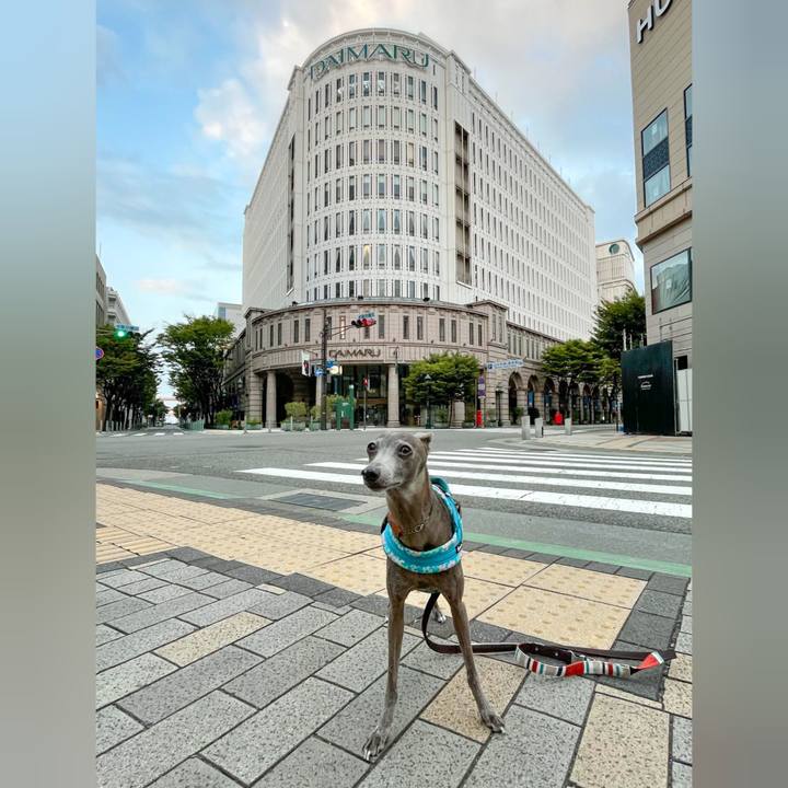 618d47f7 6320 4e56 8c9f 6075bf8e4a4c 1759488600015