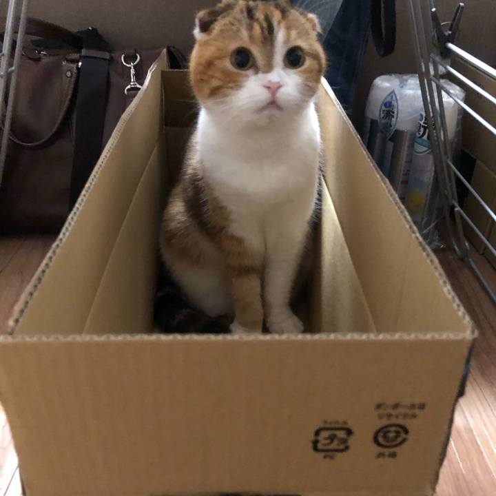 618d58c5 73d4 4619 9c6d 814422fa8433 1580133559520