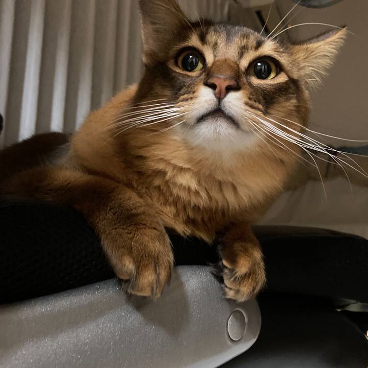 618d6e4f 9692 4baf 9ec2 9aaad1b69361 1612963371258