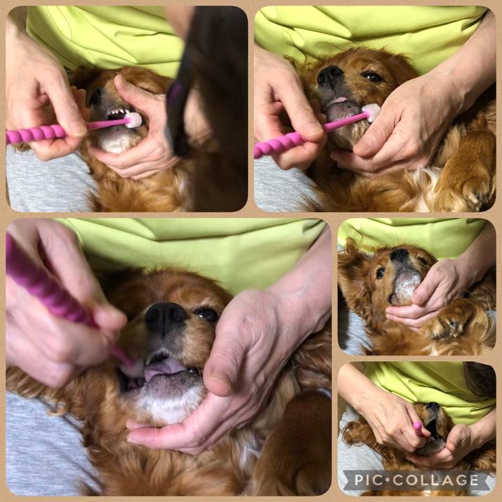 618da186 dce5 4415 9be3 61de24ae7c1f 1632876281533