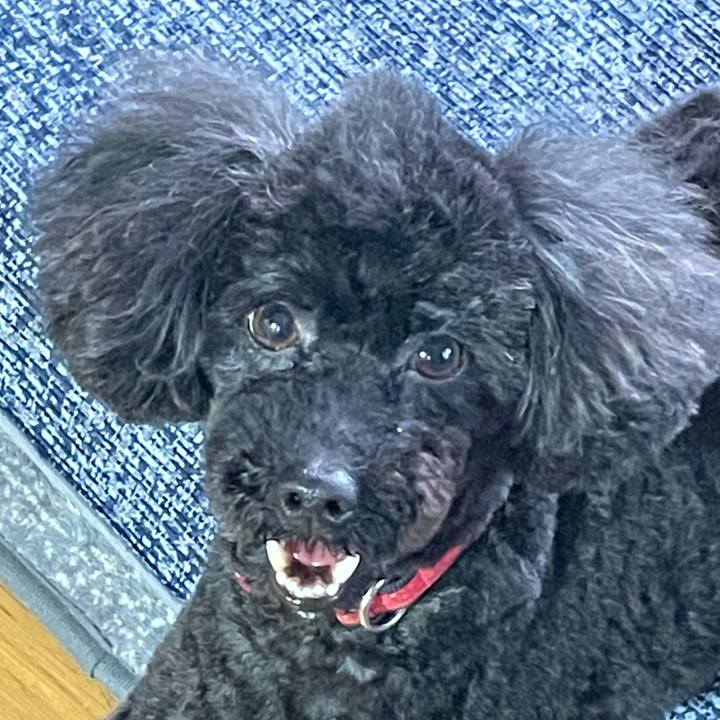 618da72a 2494 4db8 bc06 73179a9aa81e 1619244245645