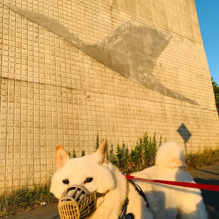 618da7c2 425a 4118 9e76 cb17f6799cd2 1631307908683