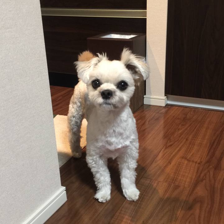 618dab93 b65c 43d3 bf55 9e8ebad0a1a0 1513861885332