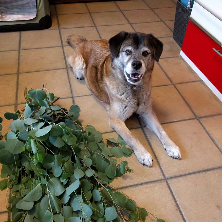 618dac5f 5dd9 4532 a8be 870b09468f58 1527833555520