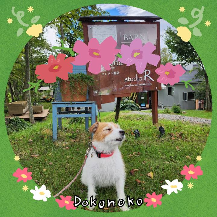 618dc4ff 85f6 4027 8fb1 fda026c266aa 1726898630617