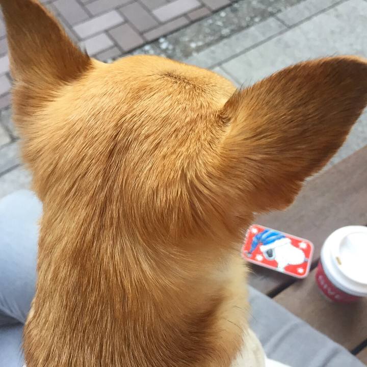 618ded56 fed6 4631 8634 a527cdff4d09 1510329417955