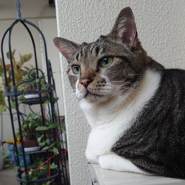 618e028b d2db 4c4a 9d77 7f01fa89ff17 1634257355994