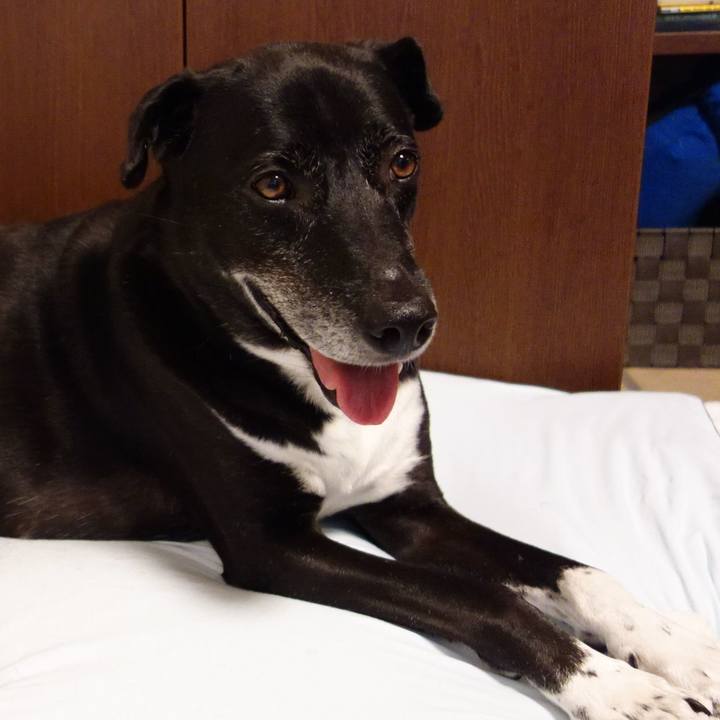 618e0ecc e716 4765 a519 07ed5d018c16 1724888971121