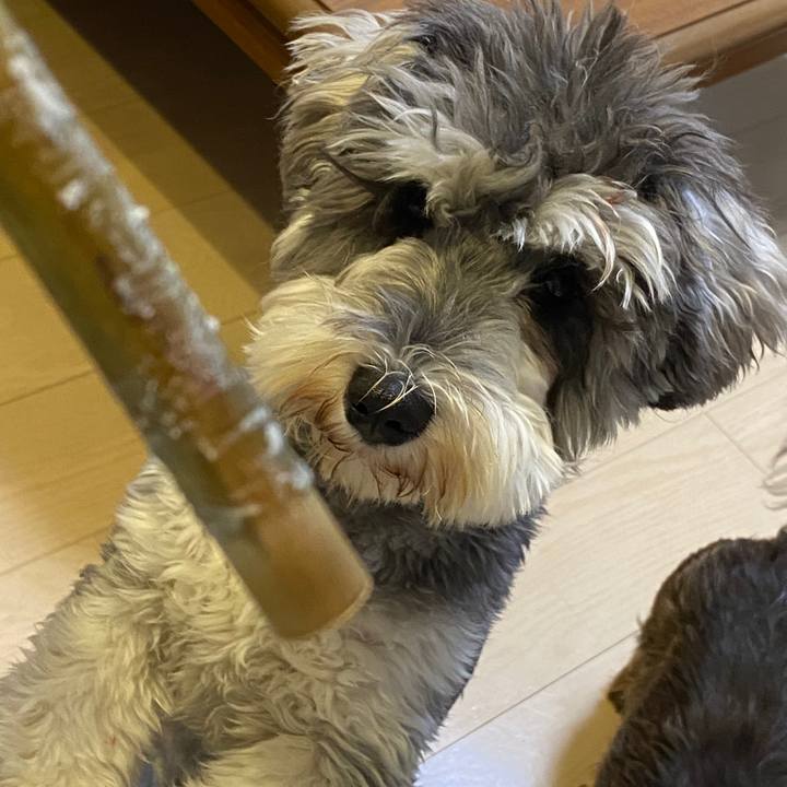 618e1960 c84a 44e4 92de 11c718bca8ae 1587906623678