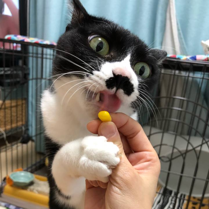 618e365b f4b5 4766 ac27 9854f120e3d2 1527348398426