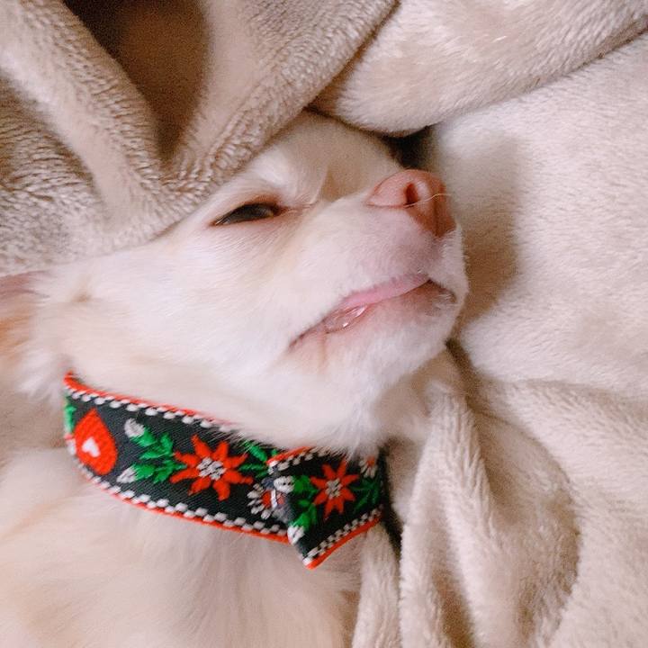 618e5001 698b 46f3 af8d b4474017145e 1628989290496