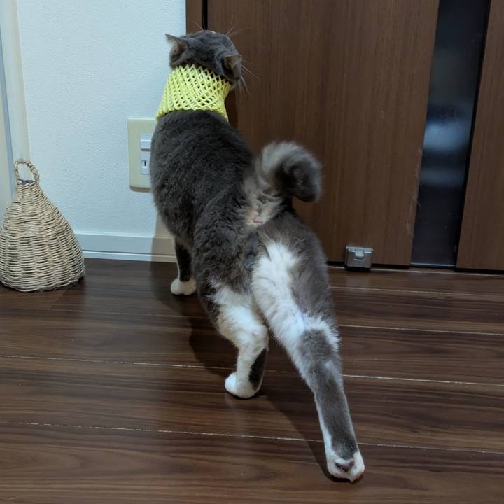 618e5615 7dd6 4daf 8326 1cd7c435b0d0 1732624769082