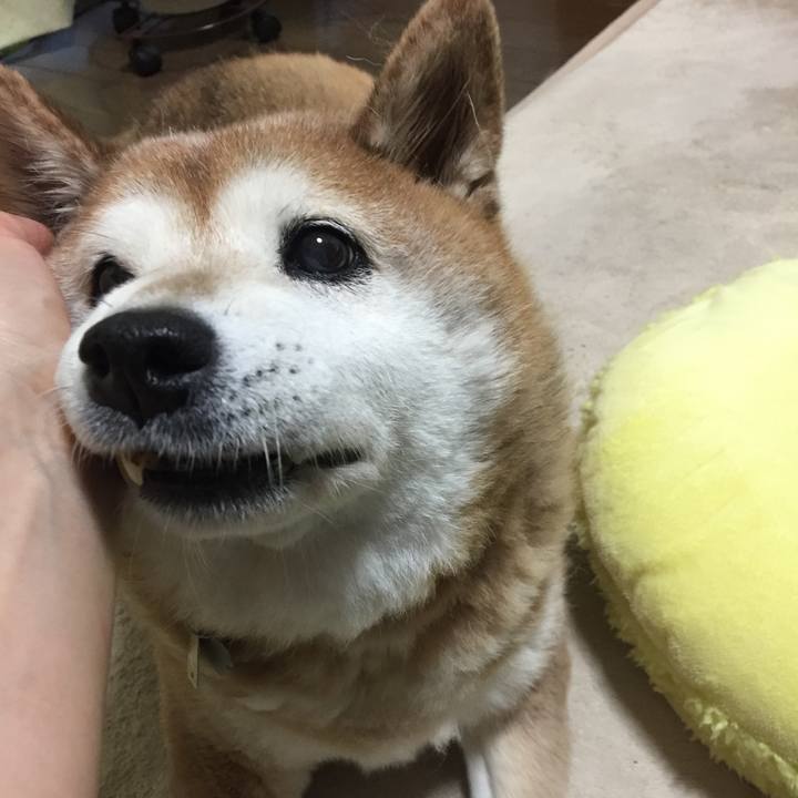 618e824e 7c31 4538 be28 5a5b9fa7f871 1559294991712