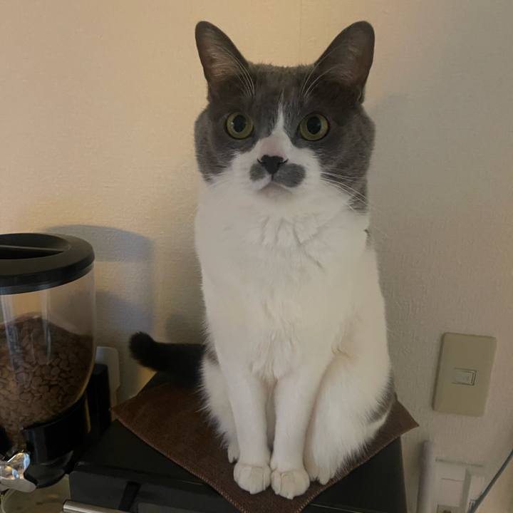 618e852a 56dd 4c78 af32 c3e11ad672d2 1739143100729