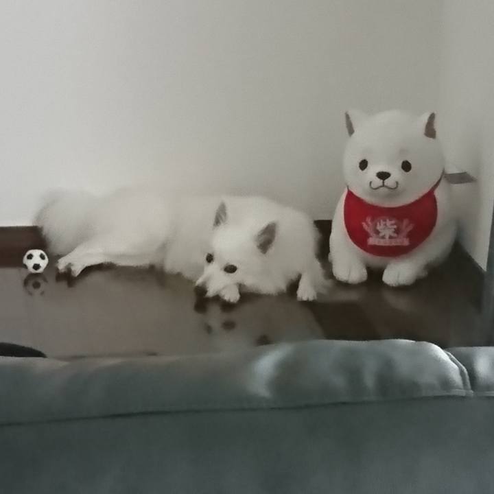 618e87ce 2276 4927 b9c5 f1f59f5b95ce 1526611160161