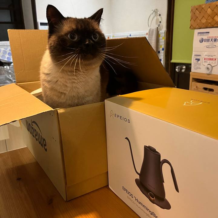 618e8bca 10aa 465c af72 3b4fa4251a29 1659526042722