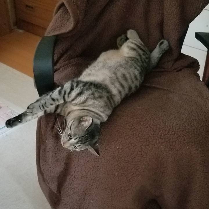 618e963b ae11 462d 948d 314c24dfcf64 1692887092483