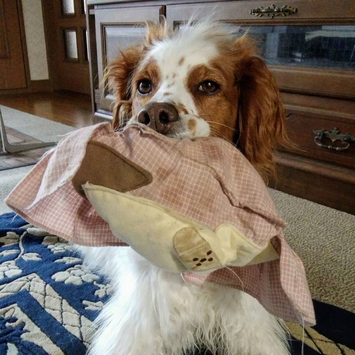 618e9e39 2ba1 4f45 81d6 70fa9a8f5d19 1552435809255