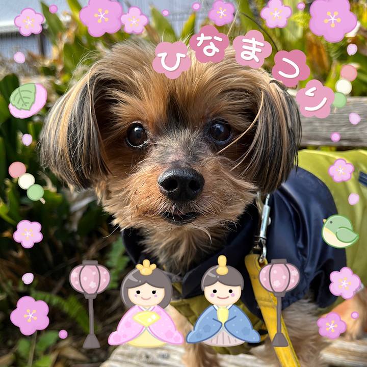 618eac91 5136 45bd 877a 86ba177acd08 1709448231603