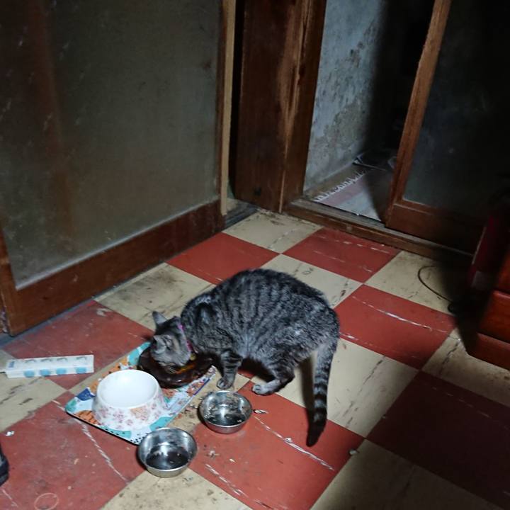 618eb56c 14e8 4a6d a2c5 3017fd677499 1583351817897