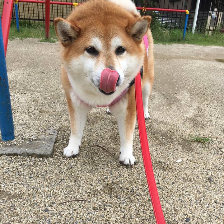 618ec4d6 b6c7 412d 9dcb e350c8cfe874 1595820892556