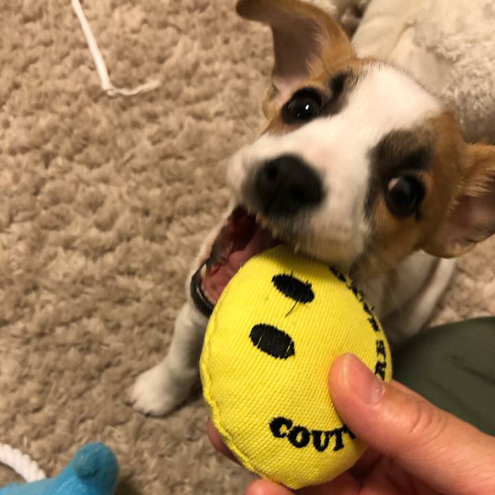 618ee8fd 939b 4b20 8200 84b30bb7540b 1545048830891