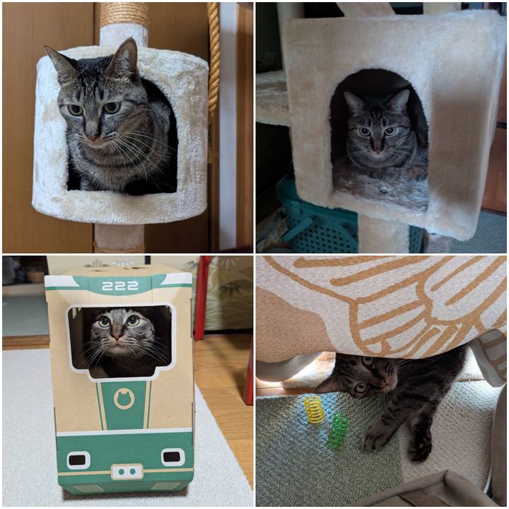 618f6d58 14a5 4705 9c5d 7d3c38194e59 1745929011877