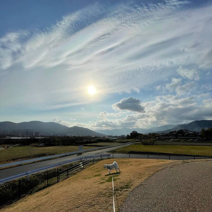 618f7f27 85f4 4655 b78f 03da49c4e355 1608339272168