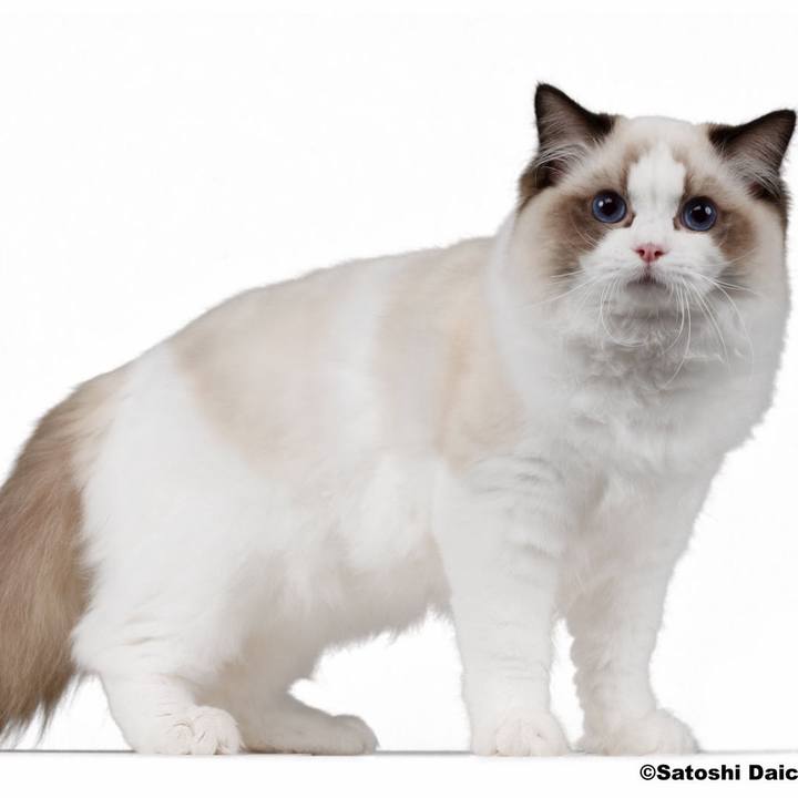 618f89b8 acbe 4a5f 87a7 dd3c0c44ee0f 1757237468695