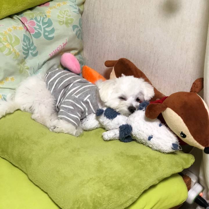 618f8b83 1671 43ef a314 3703d42bc39f 1521426208160