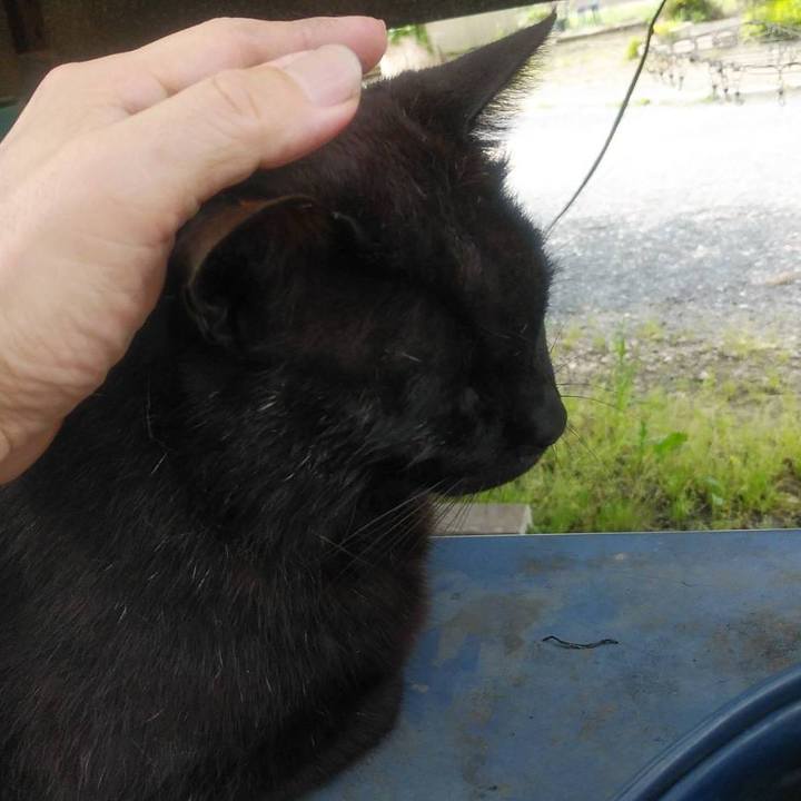 618f8e76 91dd 4989 b001 fe4dfb85cd1d 1589242409554