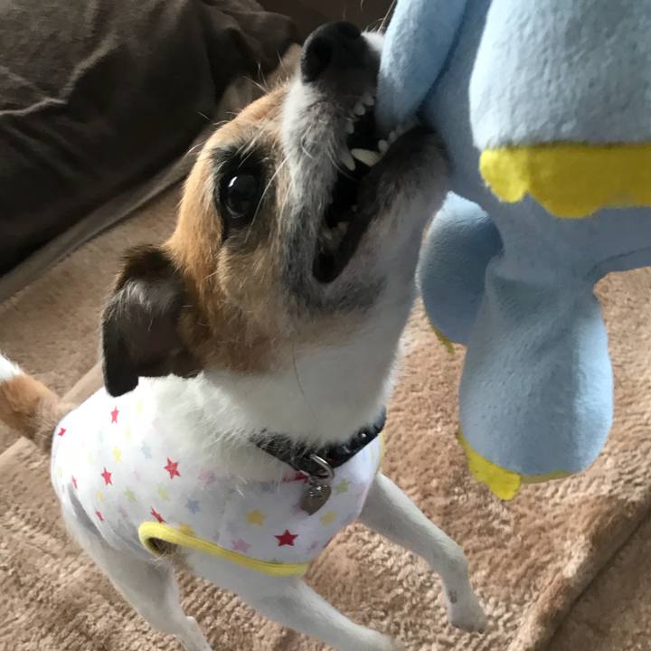 618fa19e aab6 43a4 ac6c 75666d463691 1532302148163