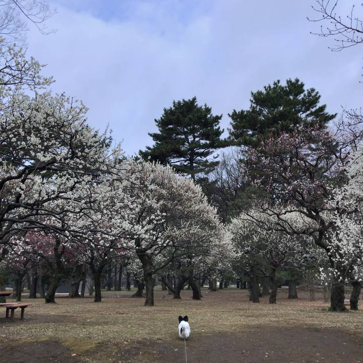 618fa54a 75df 49b2 a952 0f96ad45169e 1520208074275