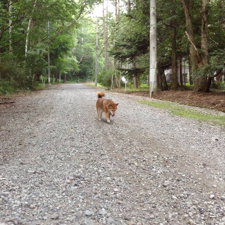 618fbaf8 ef97 4918 9d18 c2d2dee567ba 1533545806938