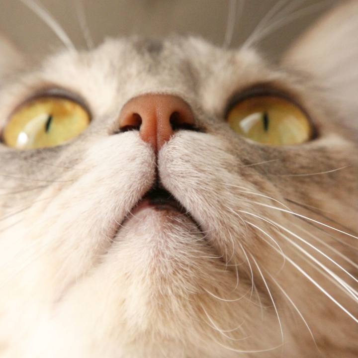 618fd800 5699 4419 922c 80dc64981fd5 1525431633225