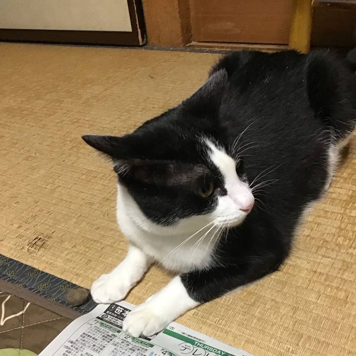 61900c1c 7b7a 416e 9503 7ba151b2dc2e 1687438915389